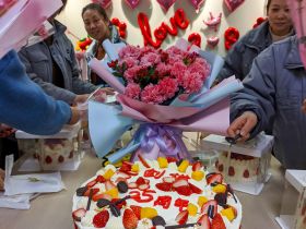 乐鱼平台-乐鱼(中国)一站式服务平台
举办三八妇女节活动